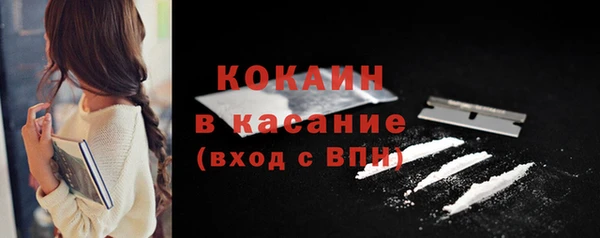 СК Пересвет