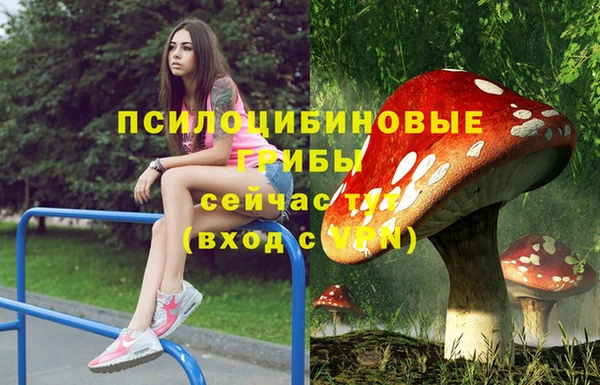 mix Белокуриха