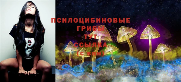 гашиш Беломорск