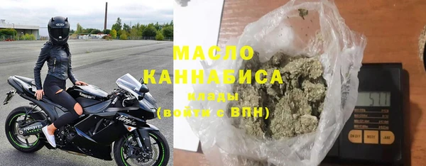 шишки Богородицк